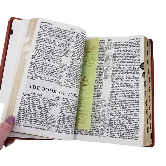 Vintage Holly Bible red letter edition King James references - Picture 4 of 10